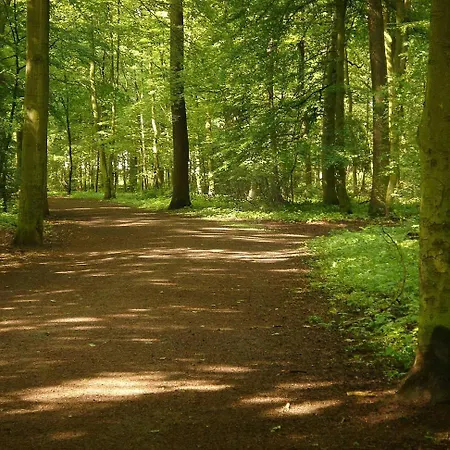 Old Printing House - Modern I I 2 Min Hbf I E-ladesaeule הנובר